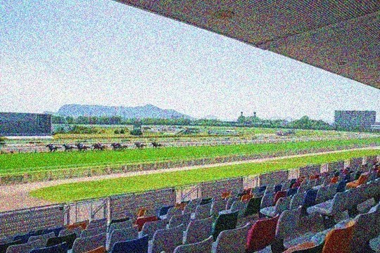 アキヤマ式オッズ分析とは - 中央競馬のオッズ分析・予想ソフト