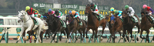 代表者ごあいさつ - 中央競馬のオッズ分析・予想ソフトなら