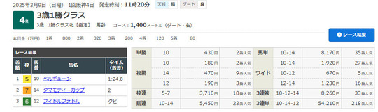 中央競馬のオッズ分析・予想ソフトならアキヤマ式塾＊新オッズ